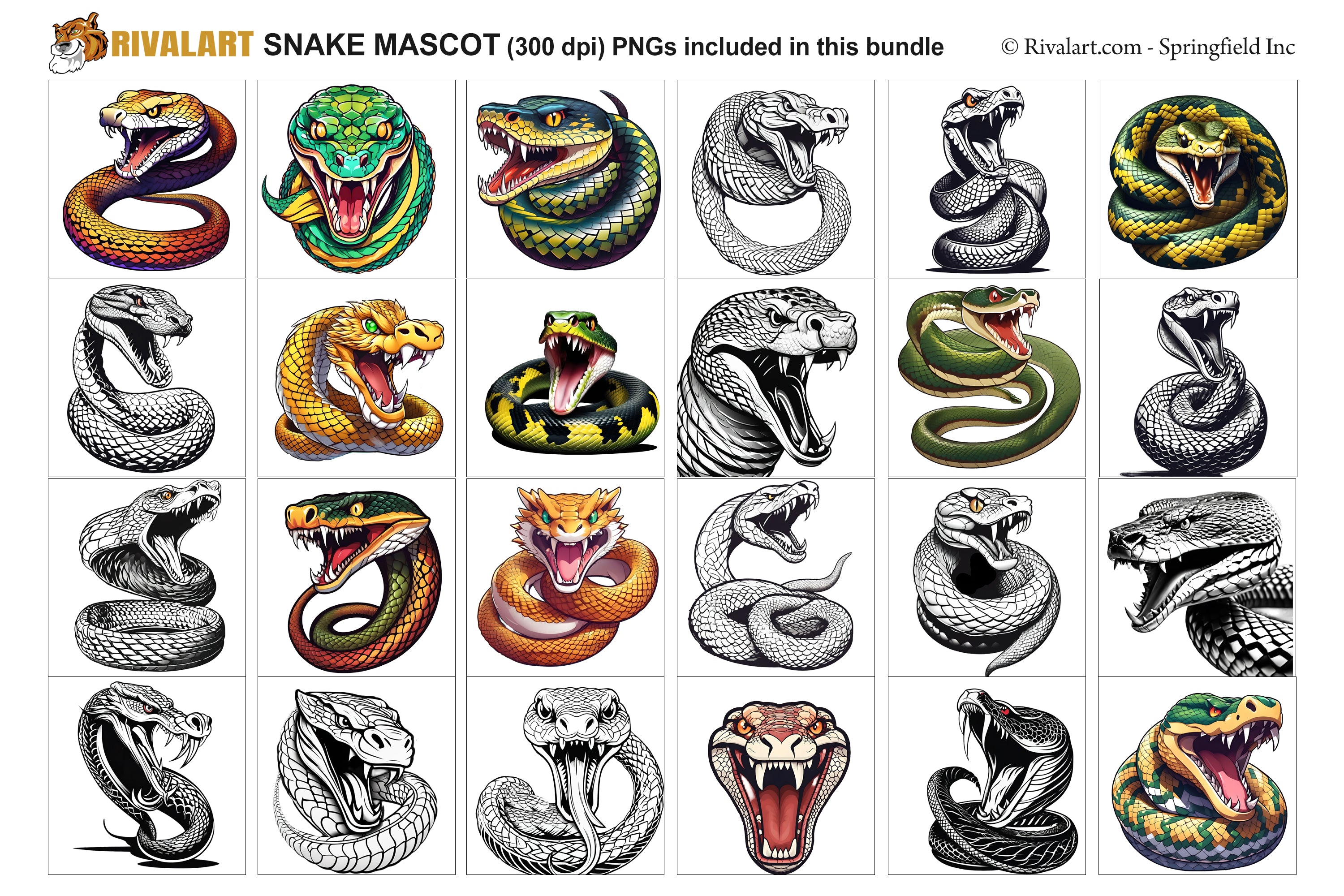 Snake Logo and DIY T-shirt Design Bundle