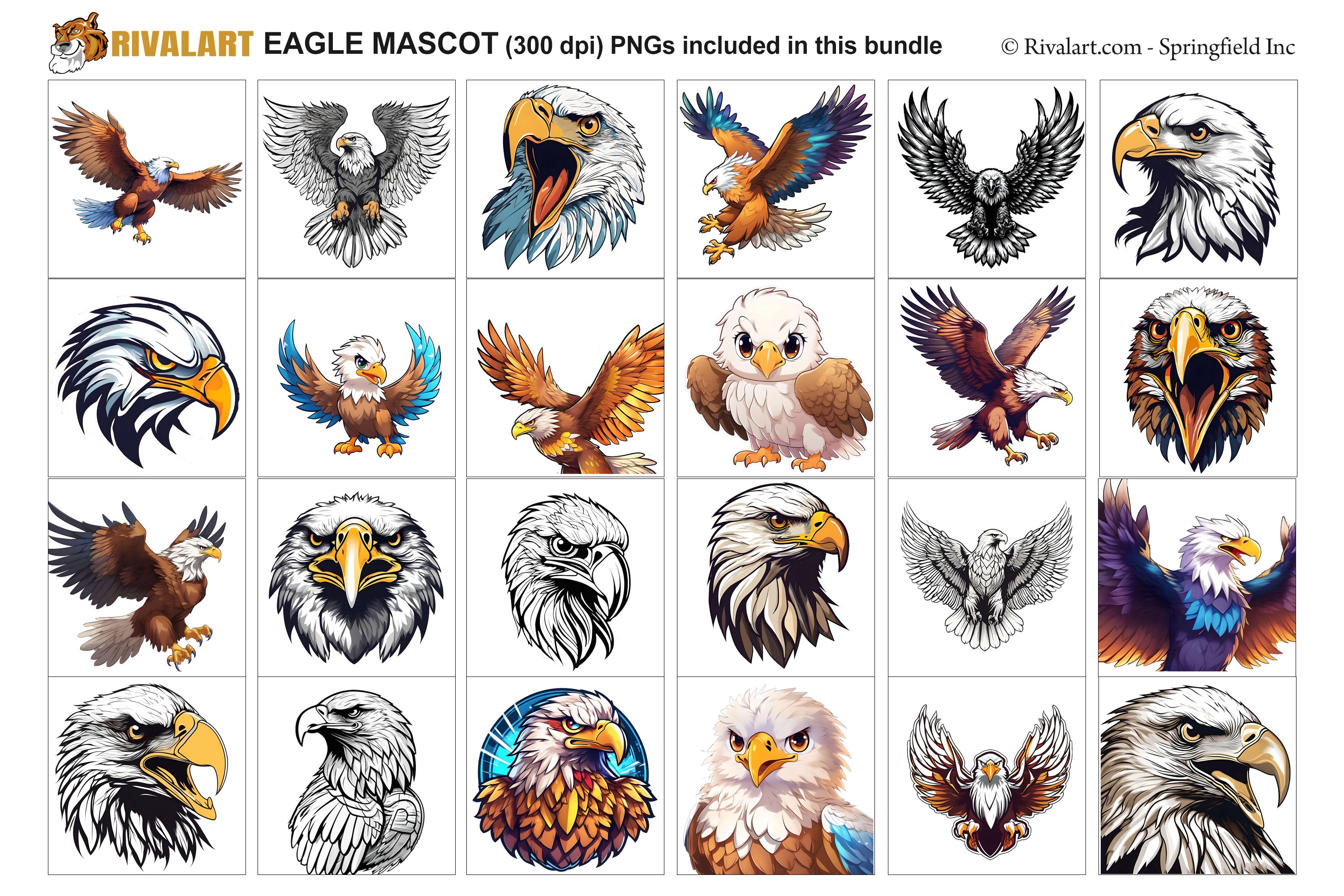 Eagle Logo and DIY T-shirt Design Bundle