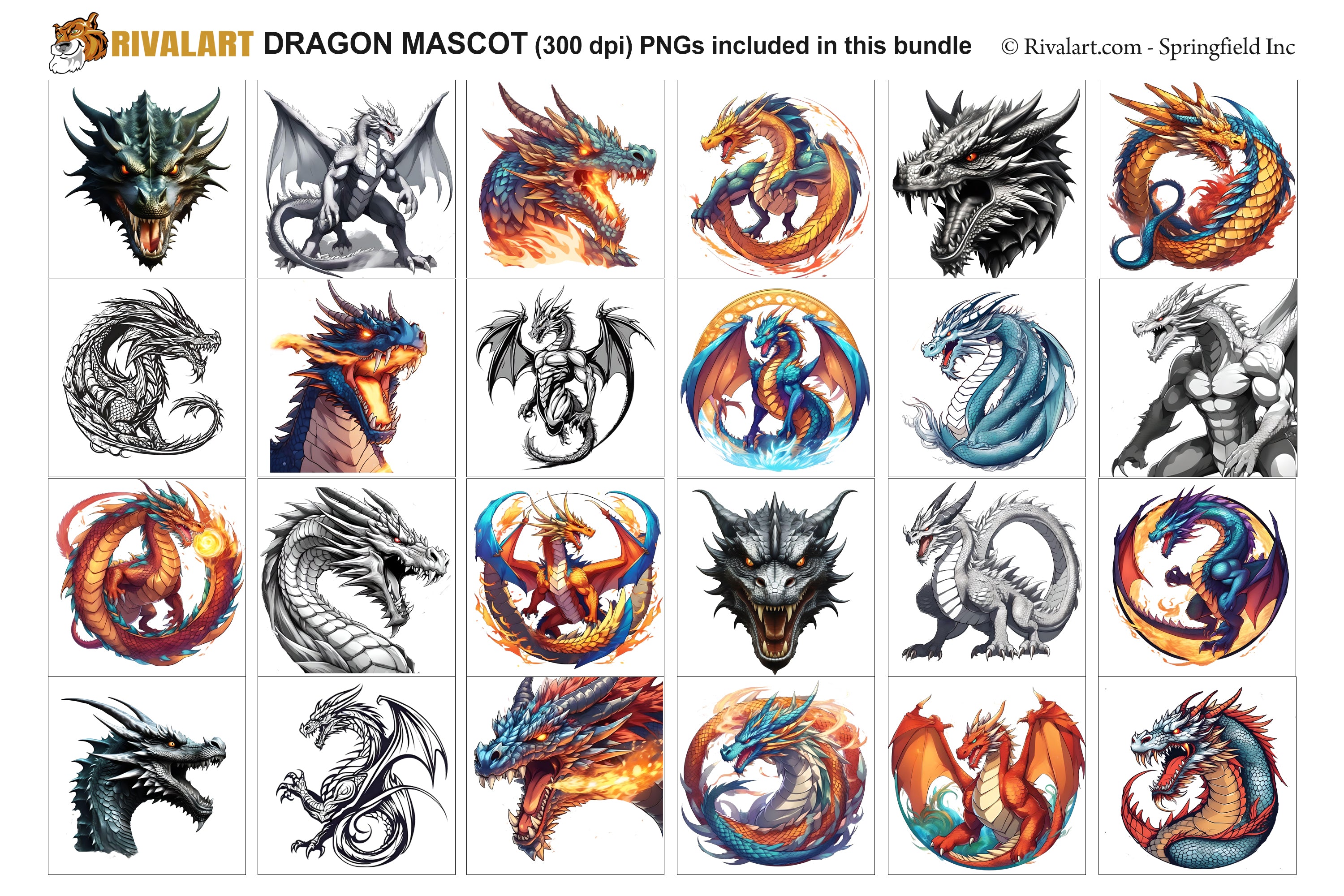 Dragon Logo and DIY T-shirt Design Bundle