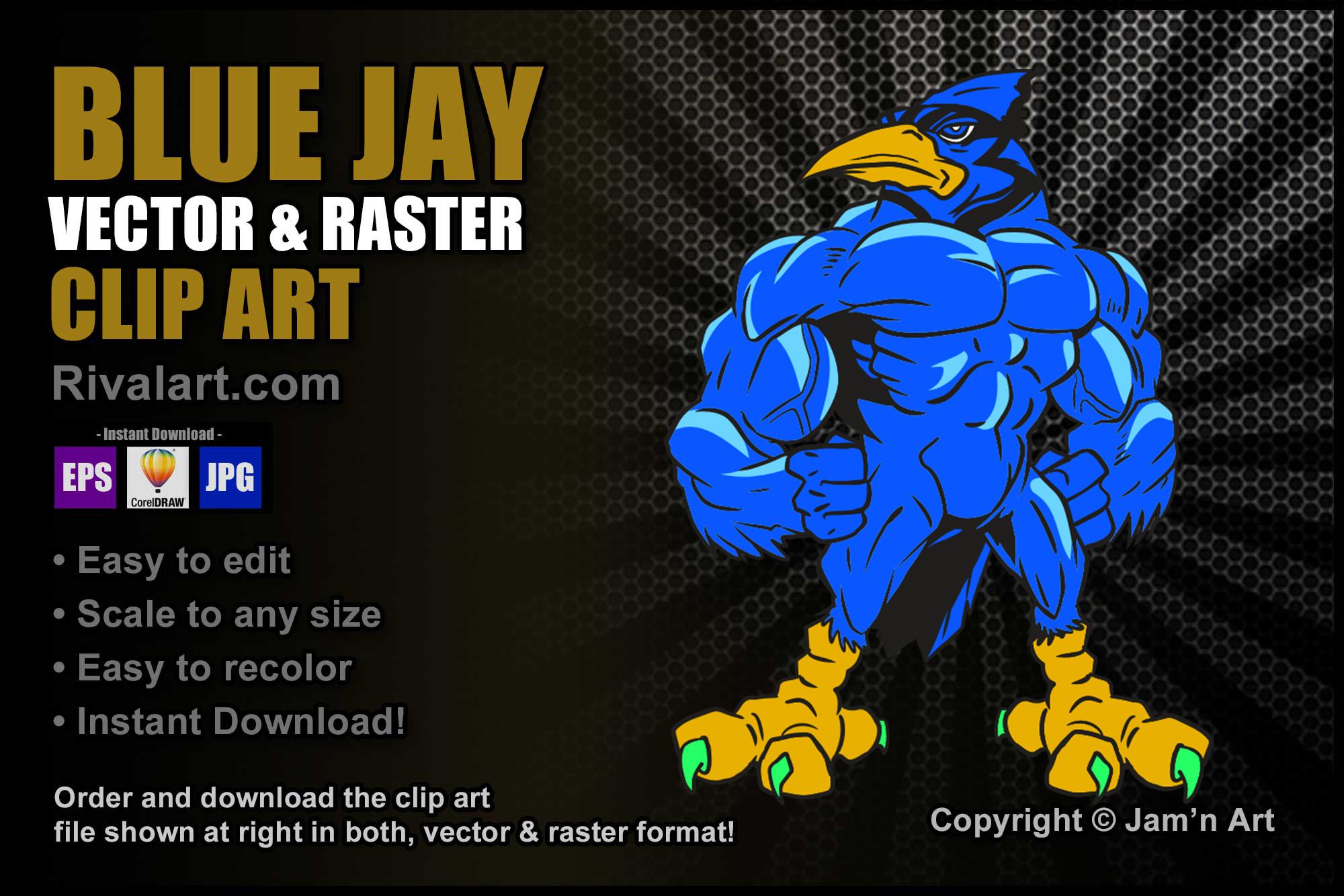 Cool Blue Jays With Muscles Graphic Colored Muscular Strong Mascot –  Rivalart