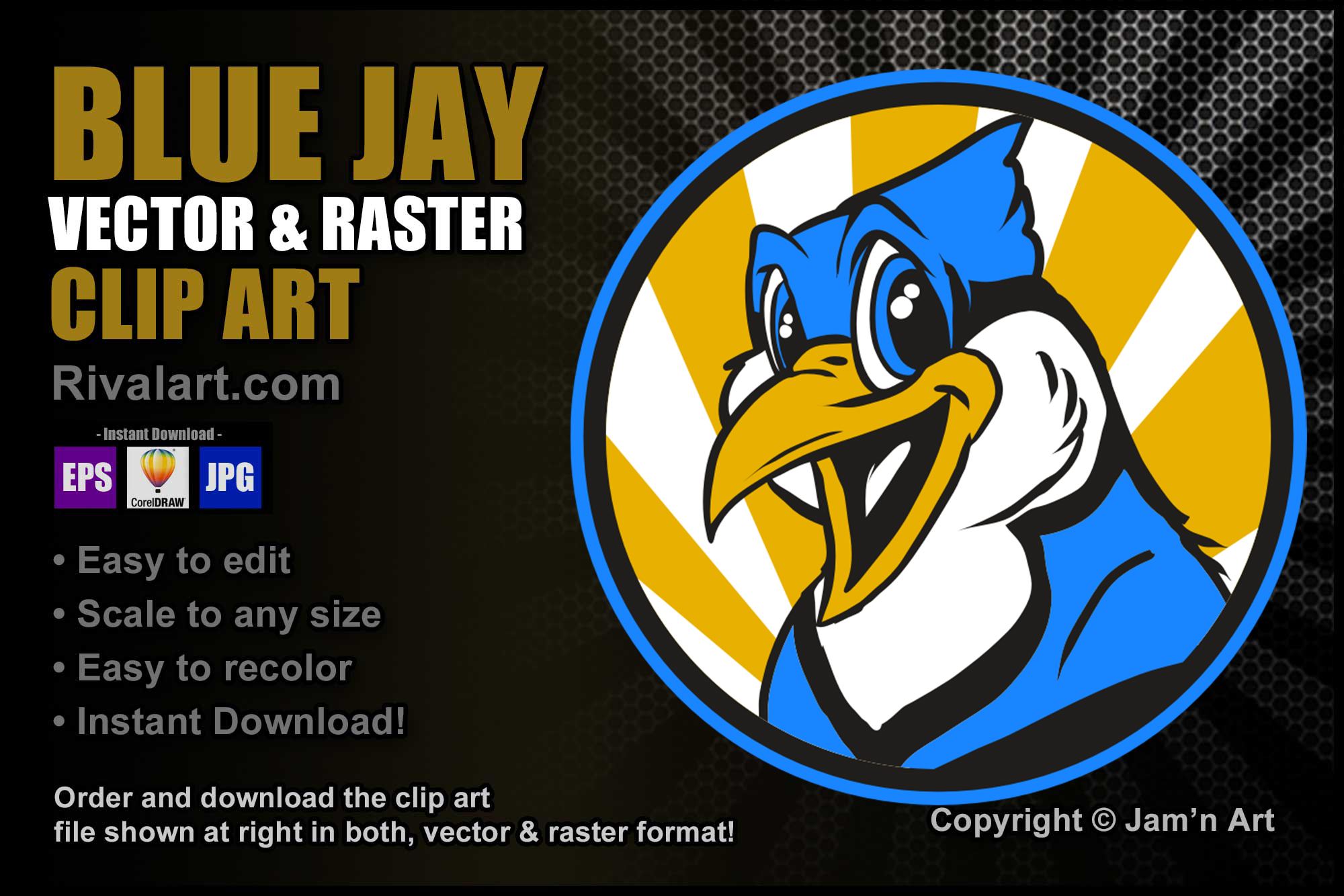 Blue Jay Vector Art & Graphics