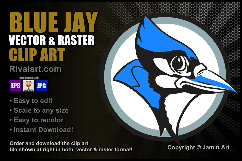 Blue Jay Lean Stock Illustration - Download Image Now - Mascot