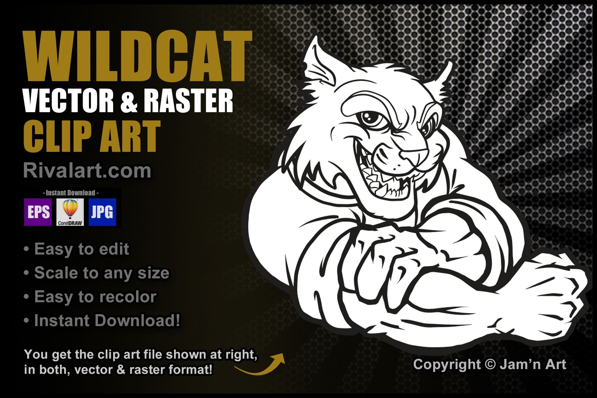 wildcat and clipart