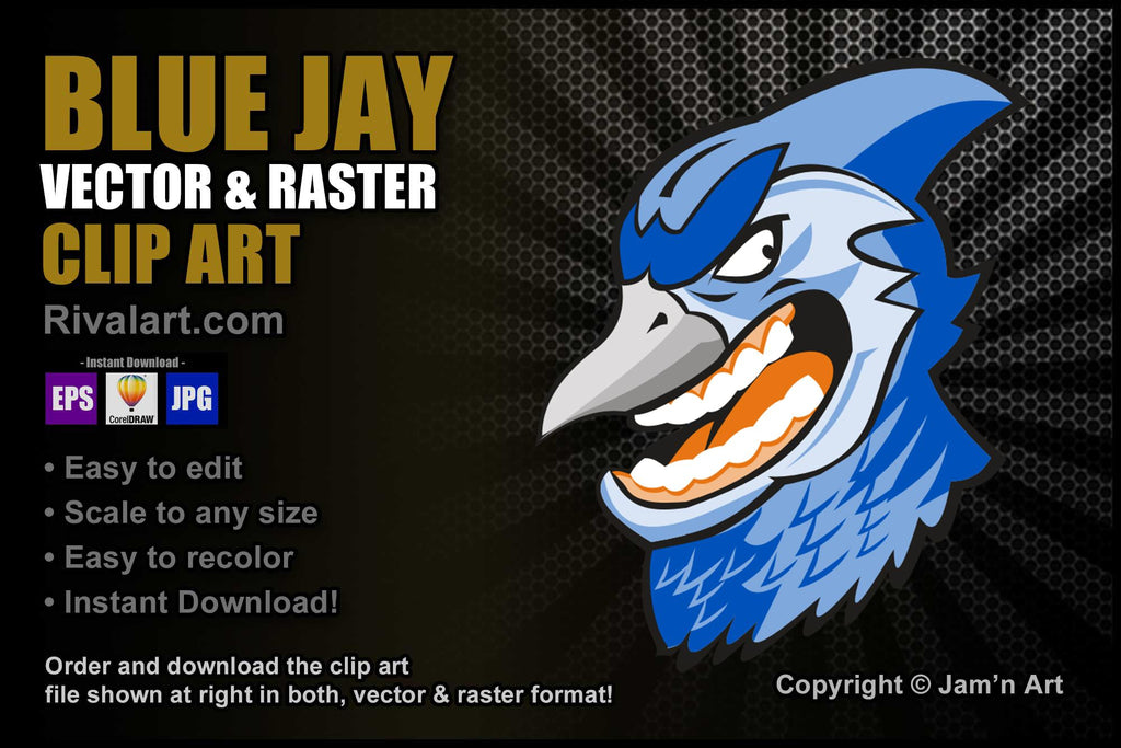 Blue Jay Lean Stock Illustration - Download Image Now - Mascot